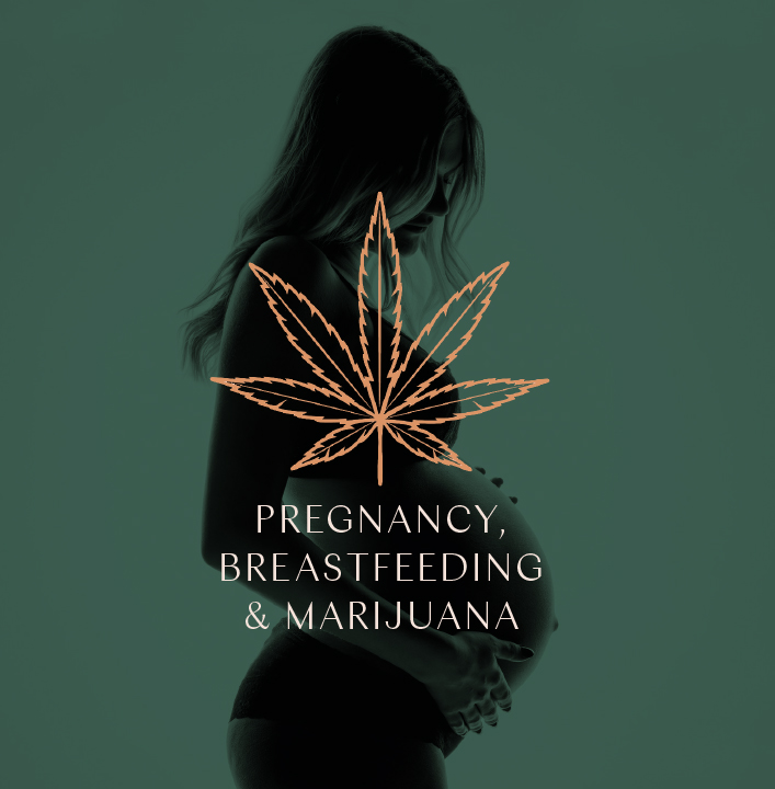 Silhouette of a pregnant woman against a dark green background, overlaid with an illustration of a cannabis leaf and the text 'Pregnancy, Breastfeeding & Marijuana.'